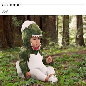 Pottery barn 12-25 month 3 piece dinosaur costume.